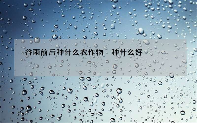 谷雨前后种什么农作物 种什么好